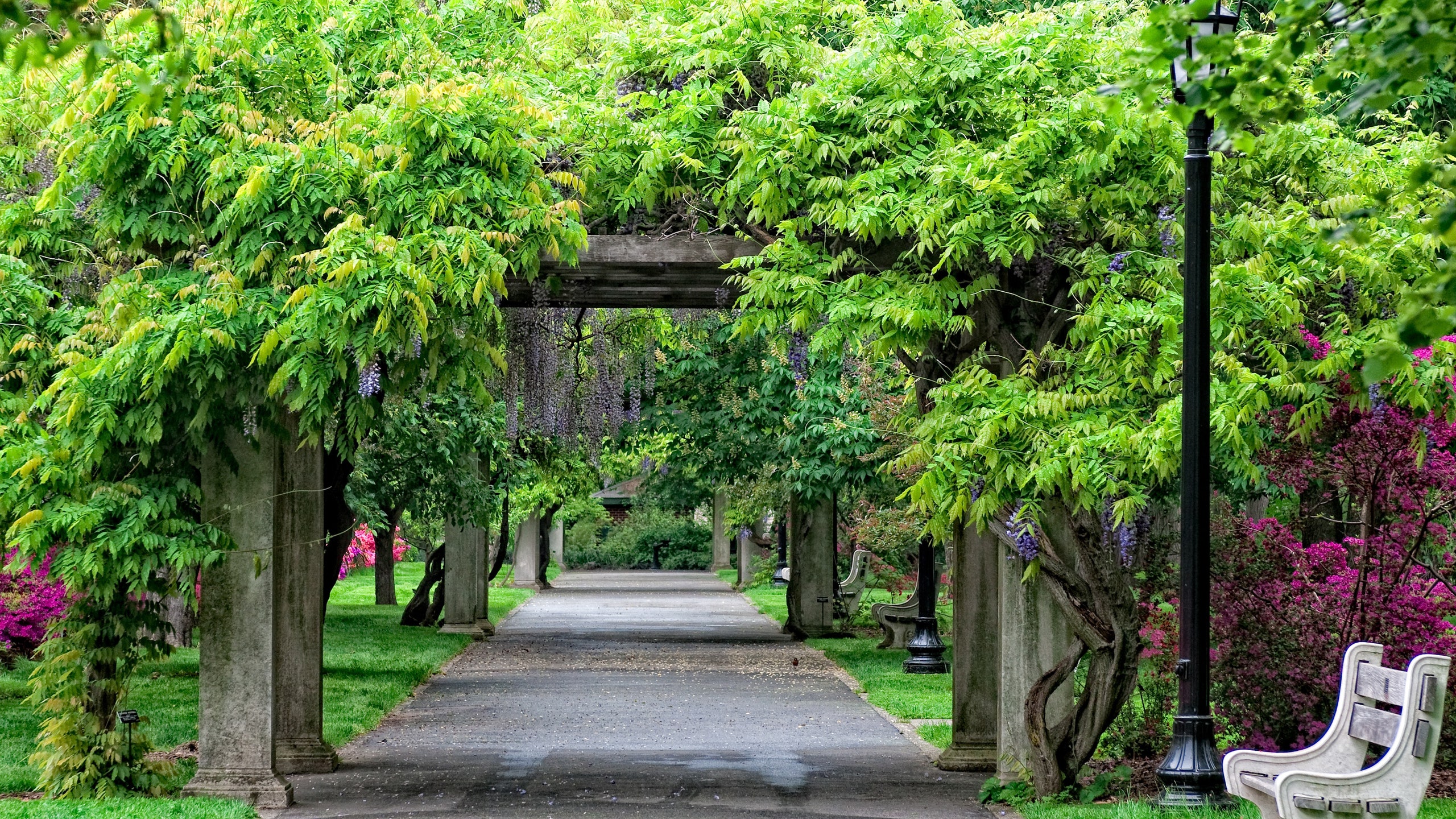 Exploring the Enchanting Beauty of Botanic Gardens