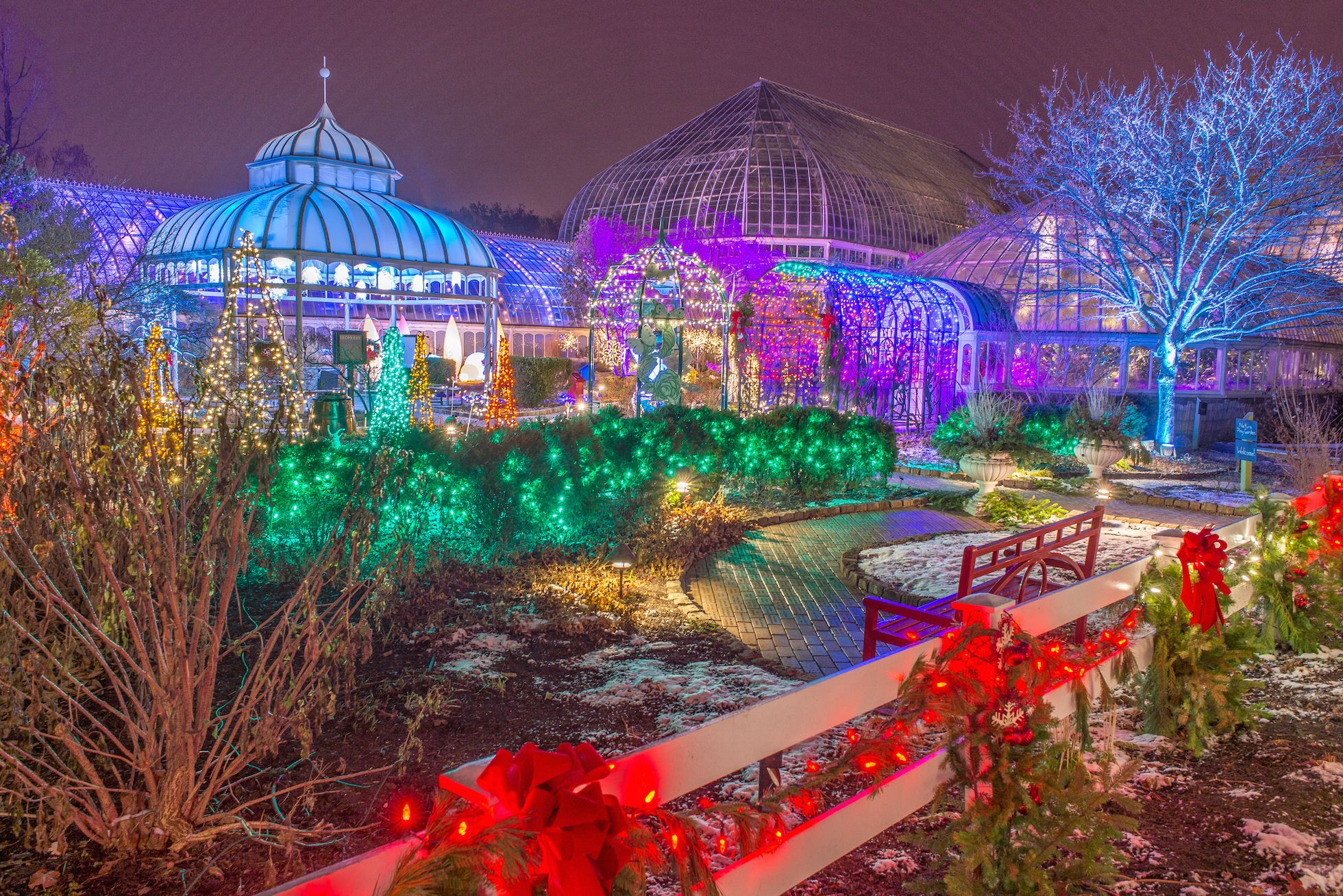 Experience the Tranquility of Botanic Gardens After Dark