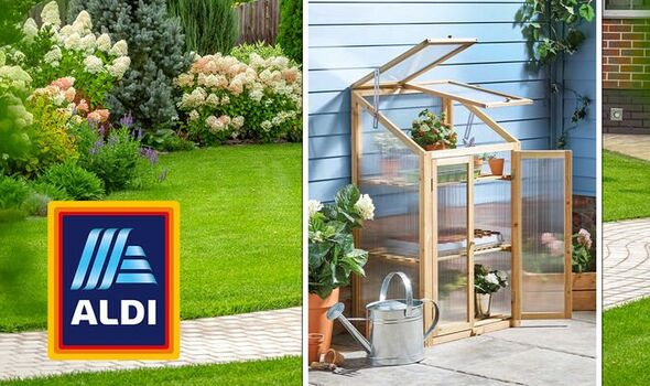 Why Aldi's Wooden Greenhouse Is the Perfect Addition to Your Garden