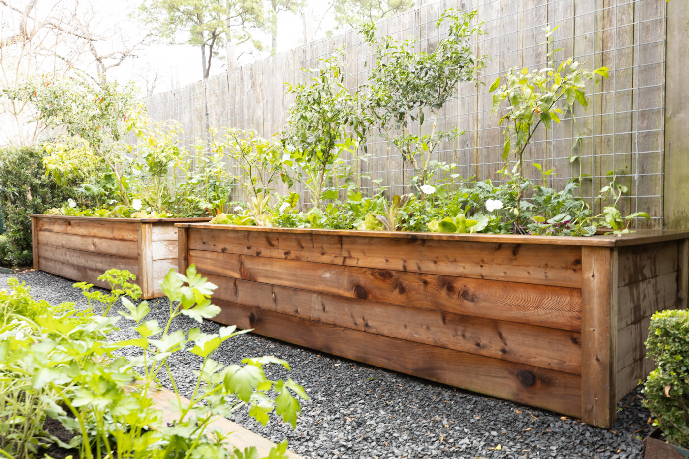 The Perfect Wood for Your Above Ground Garden: A Comprehensive Guide