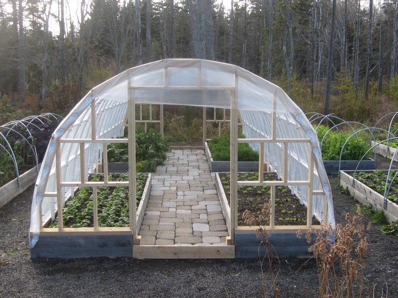 Affordable Greenhouse Solutions: Start Your Gardening Adventure on a Budget