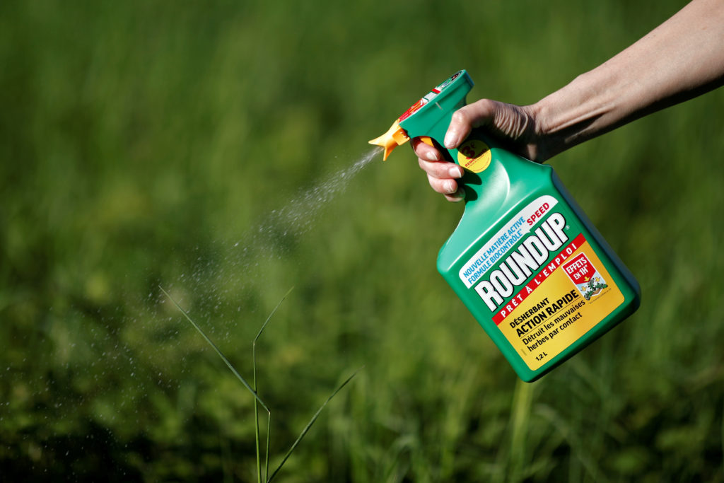 Effective and Safe Ground Up Weed Killer: A Natural Solution for Weed Removal