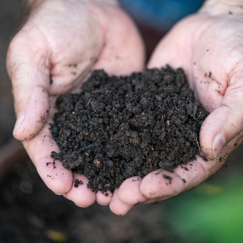 When is the Right Time to Apply Fertilizer in Your Garden?