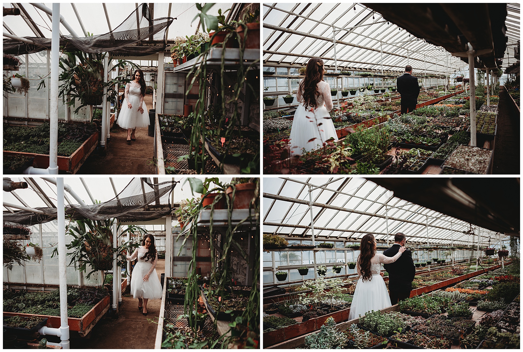 Embrace the Beauty of Nature at Graye's Greenhouse: A Haven for Plant Enthusiasts