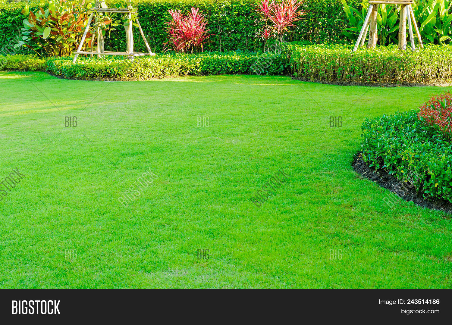 The Simple Guide to Enhance Your Ground Yard's Appeal and Functionality