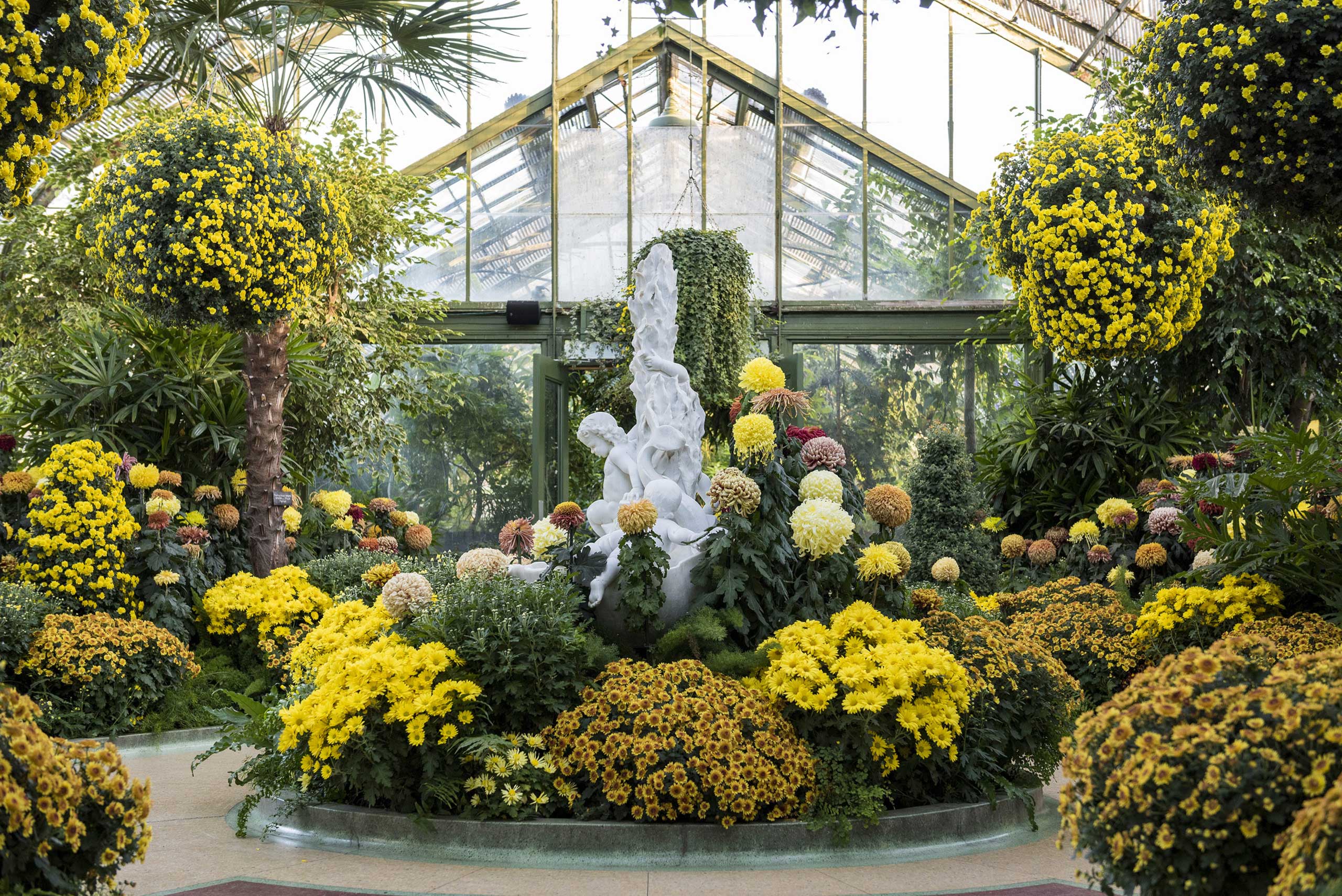 The Beauty of Floral Gardens: A Natural Symphony of Colors and Fragrances