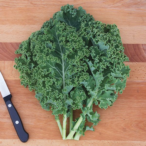 The Complete Guide to Growing Curly Kale from Seeds in Your Home Garden