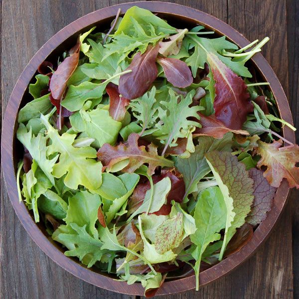 Exploring the Versatility of Mesclun Mix Seeds: A Nutrient-Packed Addition to Your Garden