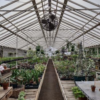 Exploring the Serene Beauty and Eco-Friendly Practices at Grayes Greenhouse