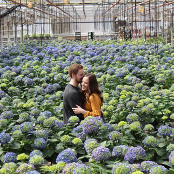 Exploring the Beautiful Green Valley Greenhouse: A Natural Oasis for Plant Lovers