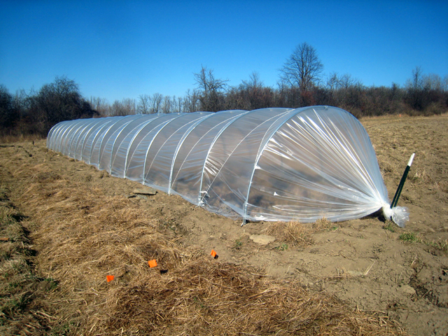 The Benefits of Greenhouse Tunnels: A Guide to Creating an Eco-Friendly Growing Environment