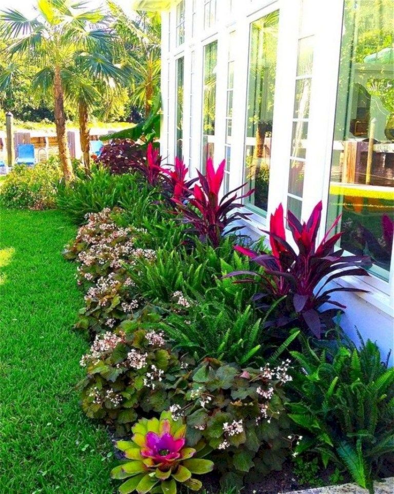 Beautiful and Vibrant Flower Garden Ideas for Florida Gardens