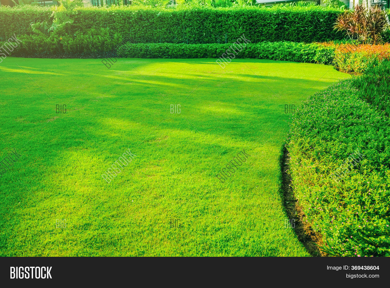A guide to achieving a lush and vibrant garden with green grass