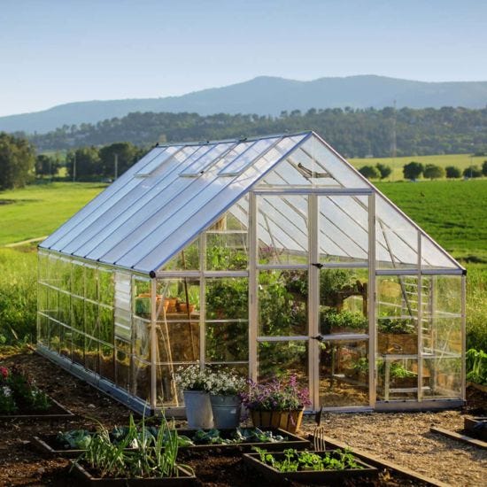 Creating an Enchanting Garden Oasis: Exploring the Benefits of Robert Dyas' Greenhouse