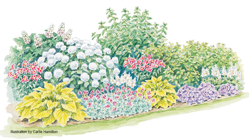 A Step-by-Step Guide to Planning Your Dream Flower Garden: Tips for a Stunning Blooming Oasis