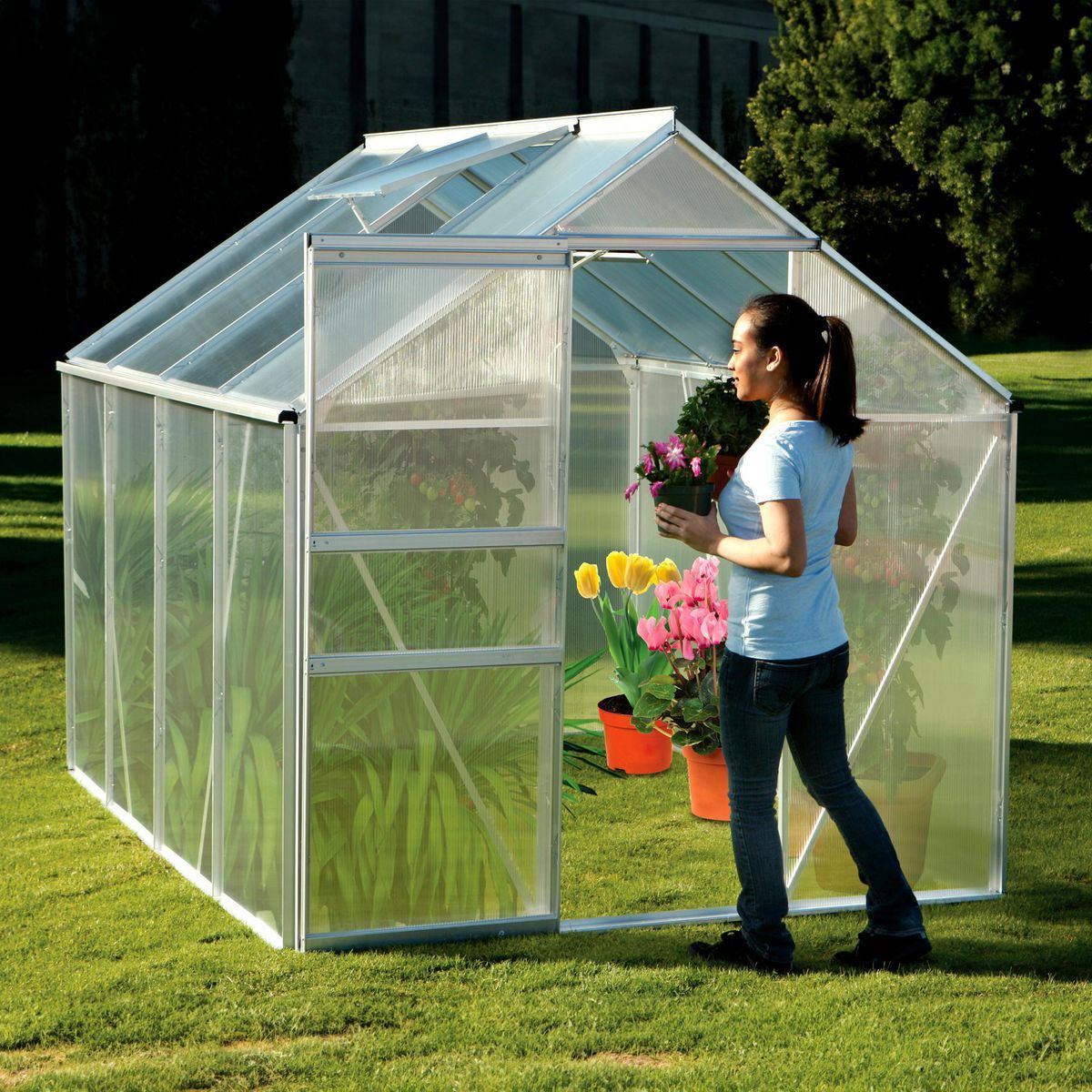 The Harbor Freight Greenhouse: A Sustainable Solution for Gardening Enthusiasts