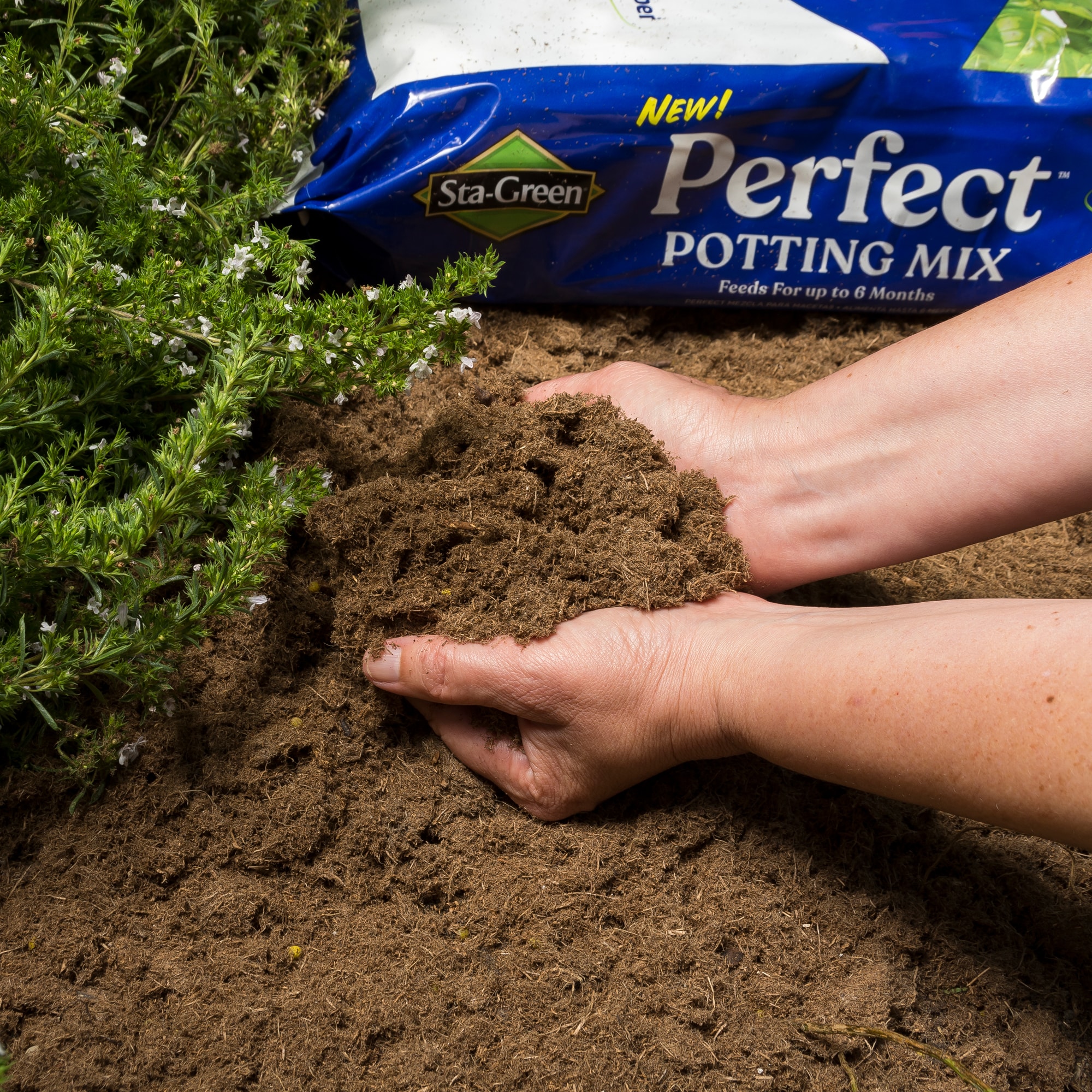 Getting the Most Out of Sta Green Perfect Potting Mix: A Gardener's Guide to Successful Plant Growth