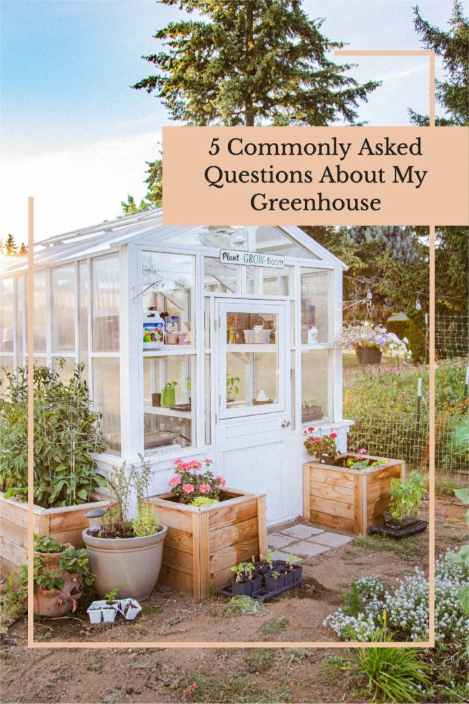 Your Yard with a Greenhouse: Enhance Your Gardening Experience