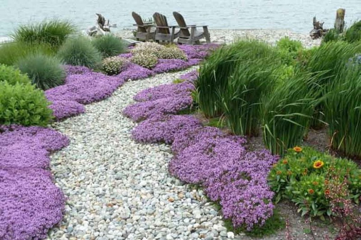 Exploring the Beauty and Benefits of Ground Crawler Plants: A Natural Landscaping Solution