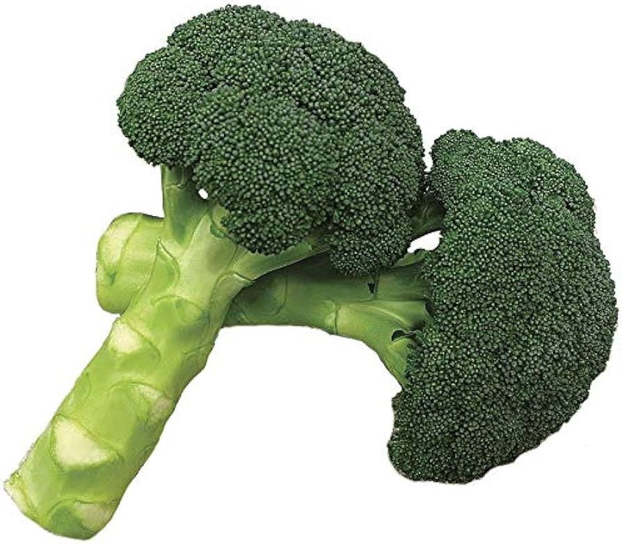 The Wondrous Power of Green Magic Broccoli Seeds: ing Nature's Delight