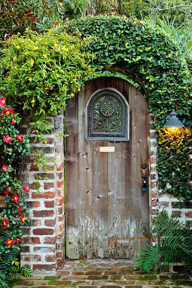The Tranquil Oasis: Exploring the Serene Beauty of Green Door Garden