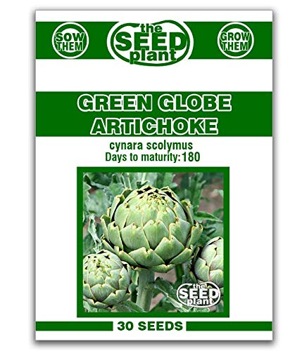 The Nutritional Benefits and Tips for Growing Globe Artichoke Seeds: A Guide for Gardeners