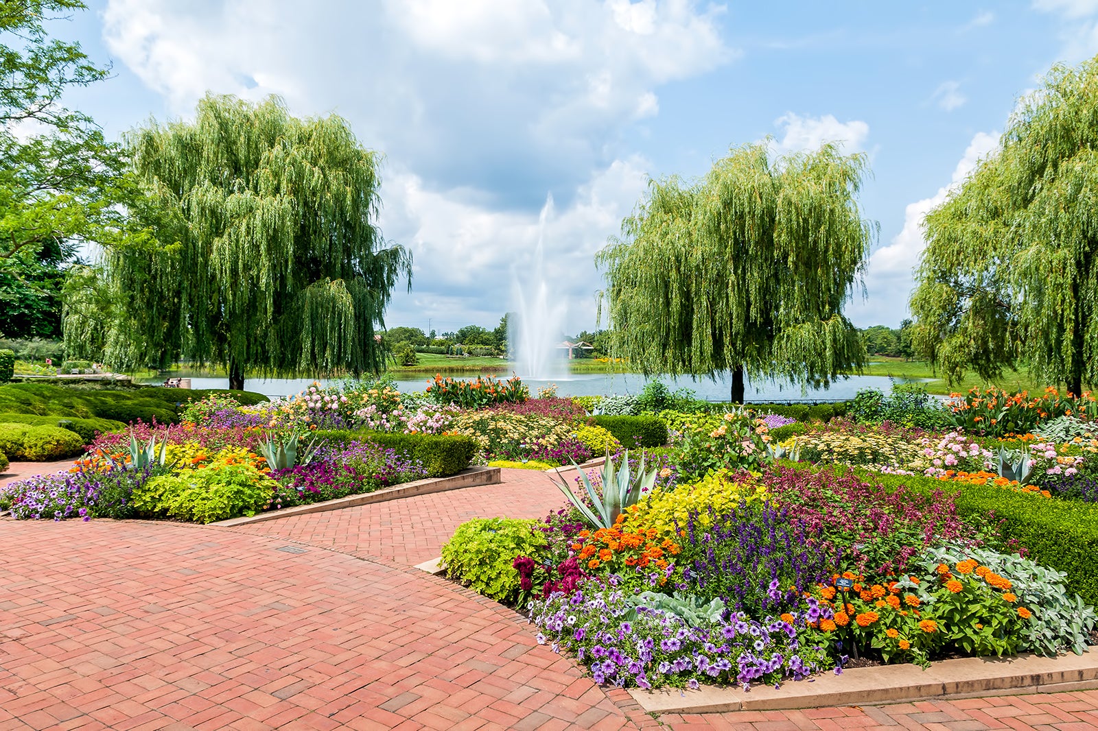 The Blooming Beauty of Chicago Botanic Garden: Choosing the Perfect Time to Visit