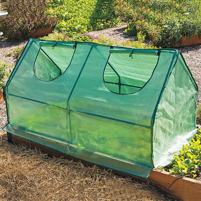 The Benefits of Using a Greenhouse Cloche for Optimal Plant Growth