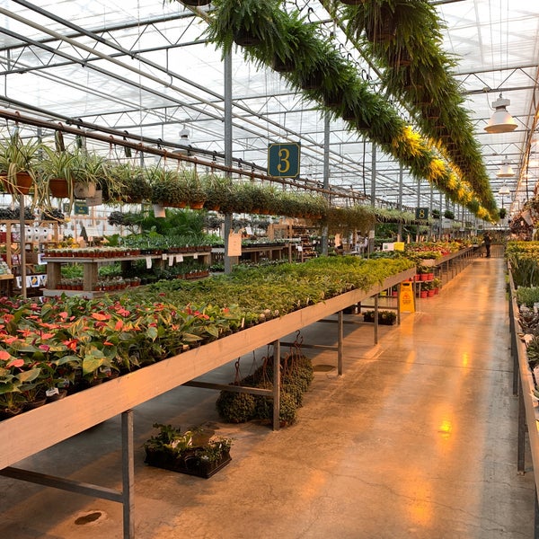 Exploring the Beauty and Benefits of Devans Greenhouse in a Natural Way