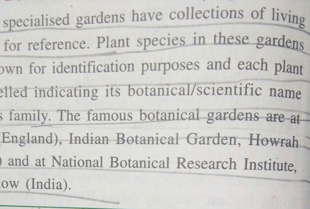 The Significance of Botanical Gardens: Investing in Nature's Beauty and Education