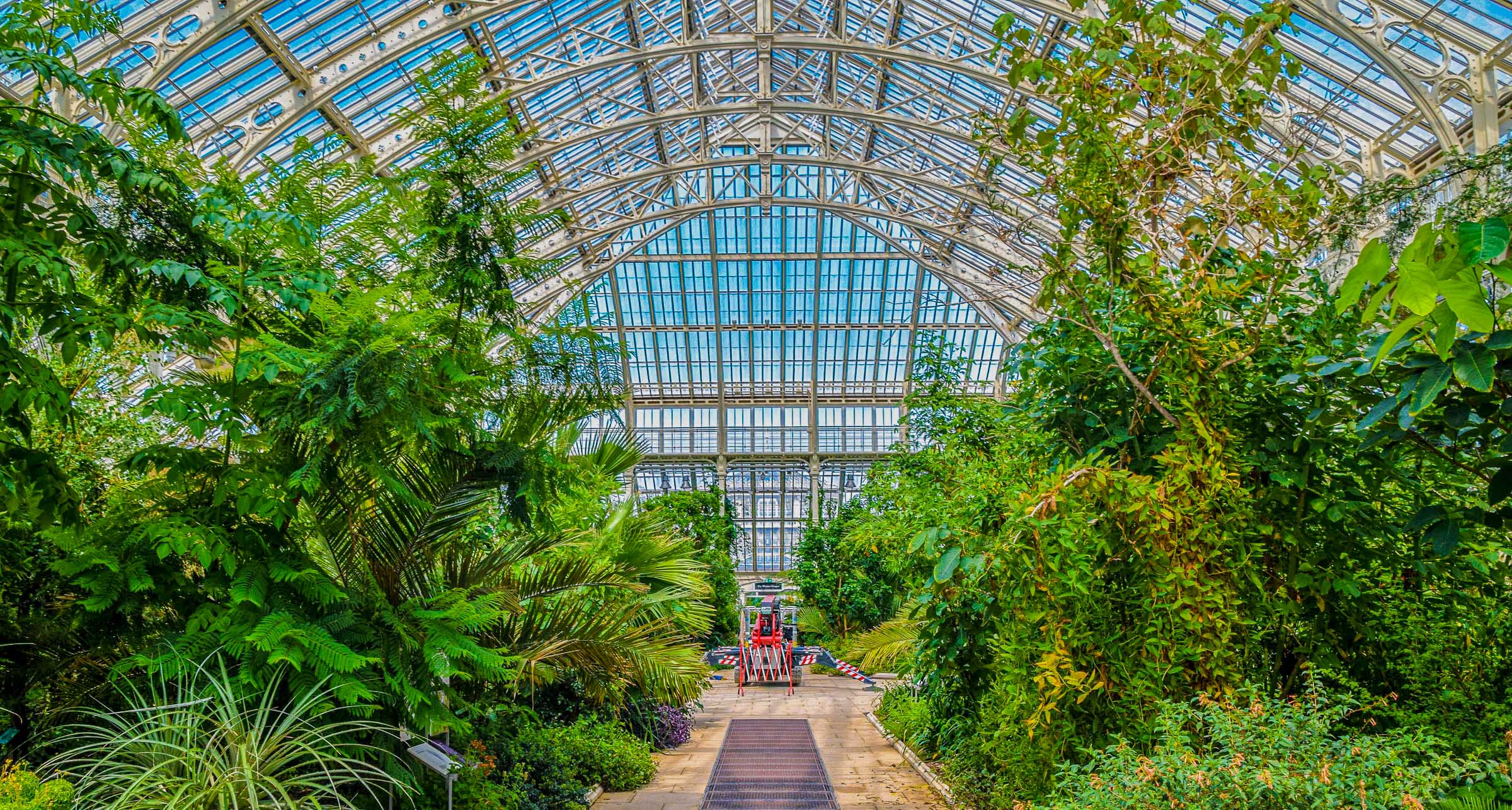 Exploring Botanic Gardens: A Guide to Closing Hours and Tips for a Peaceful Evening Stroll