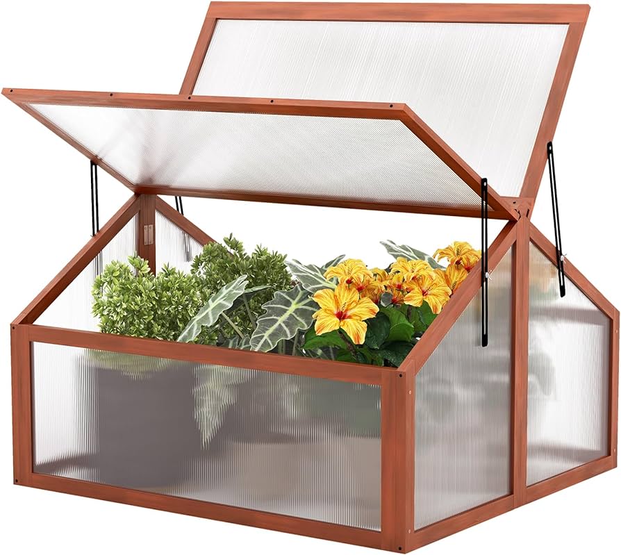 The Benefits and Functionality of Raised Greenhouses for Optimal Plant Growth