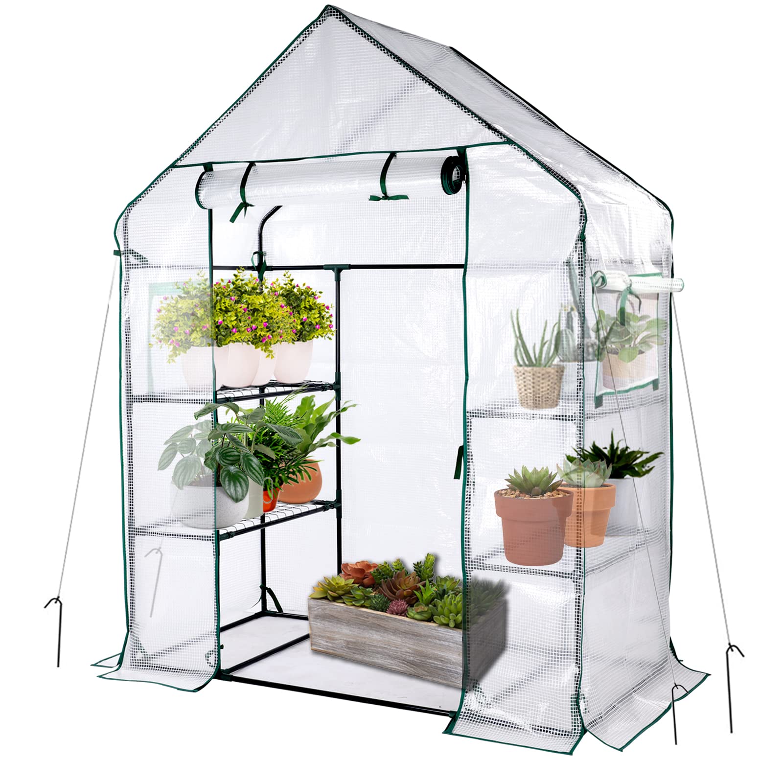 The Magic of Small Greenhouses: A Guide to Cultivating Your Own Green Oasis