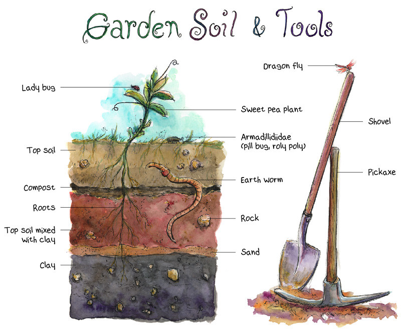Creating a Strong Foundation: Essential Steps for Preparing Your Garden Ground