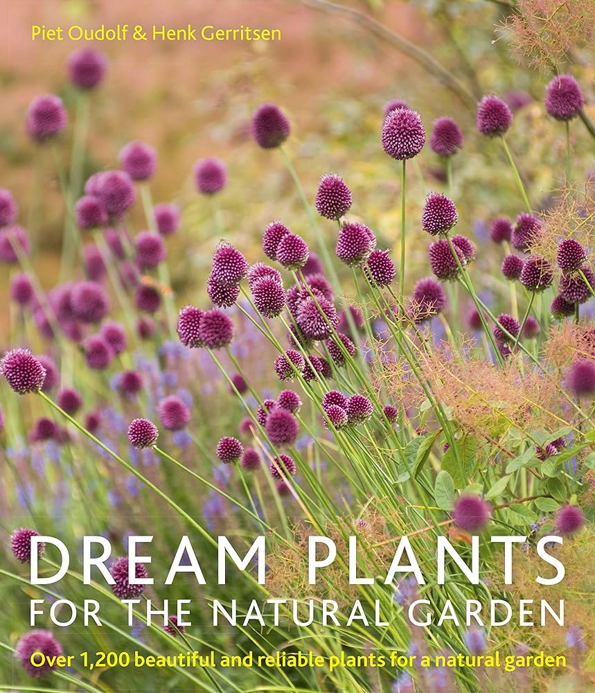 How to Create a Beautiful and Sustainable Natural Garden: Step-by-Step Guide