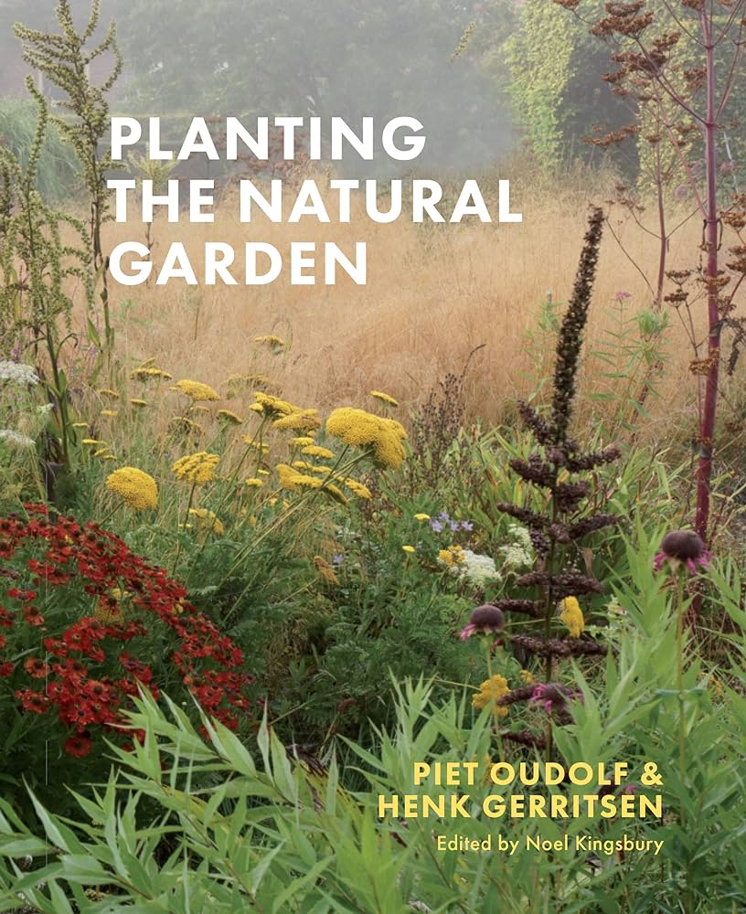 A Beginner's Guide to Organic Gardening: Cultivating a Natural and Sustainable Garden