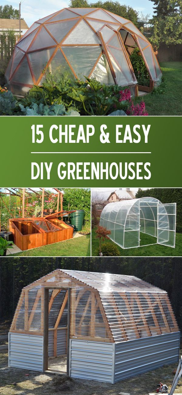The Affordable Way to Create a Sustainable Greenhouse
