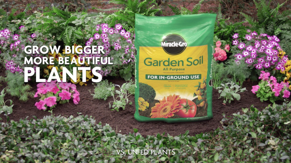 Choosing the Perfect Ground Soil for Sale: A Comprehensive Guide to Nurturing Your Gardens
