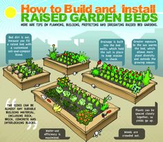 Creating Harmonious Garden Beds: A Step-by-Step Guide to Proper Orientation