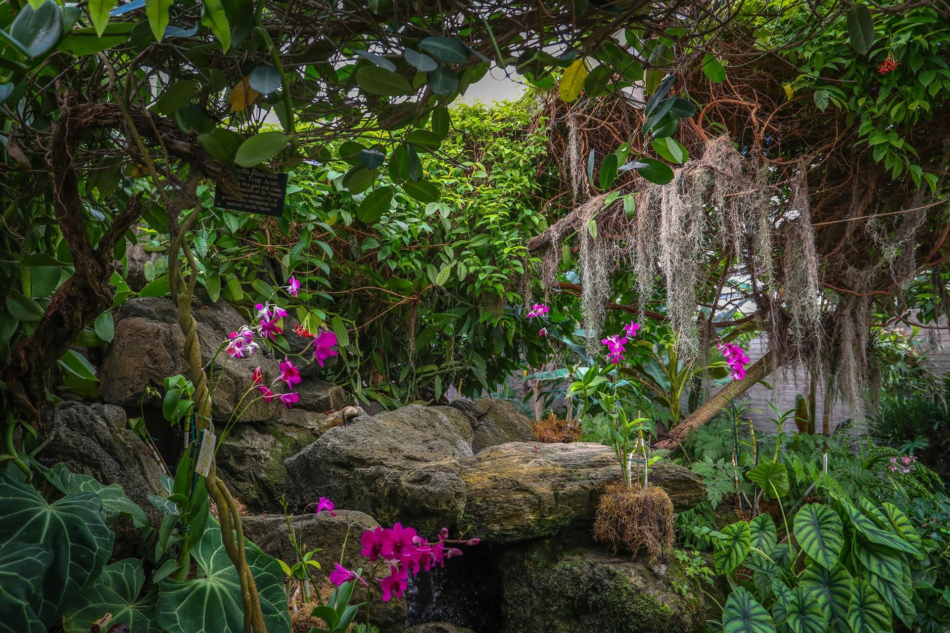 Exploring the Beauty: A Comparative Guide to Botanic Gardens and Arboretums