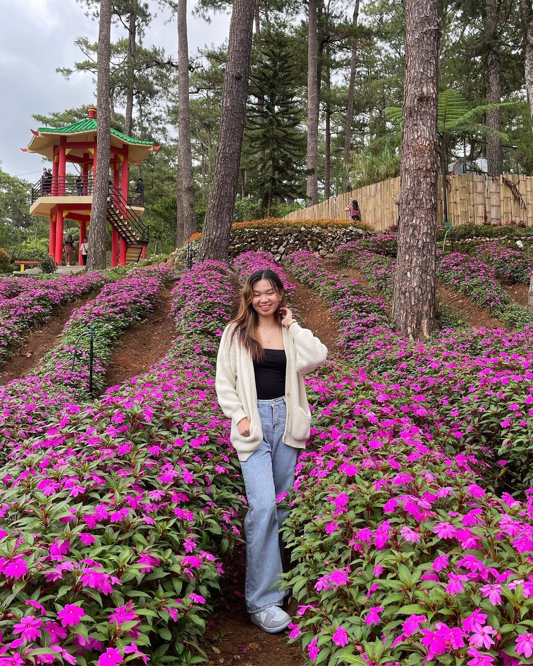 Exploring the Beauty and Wonder of Baguio's Botanical Garden