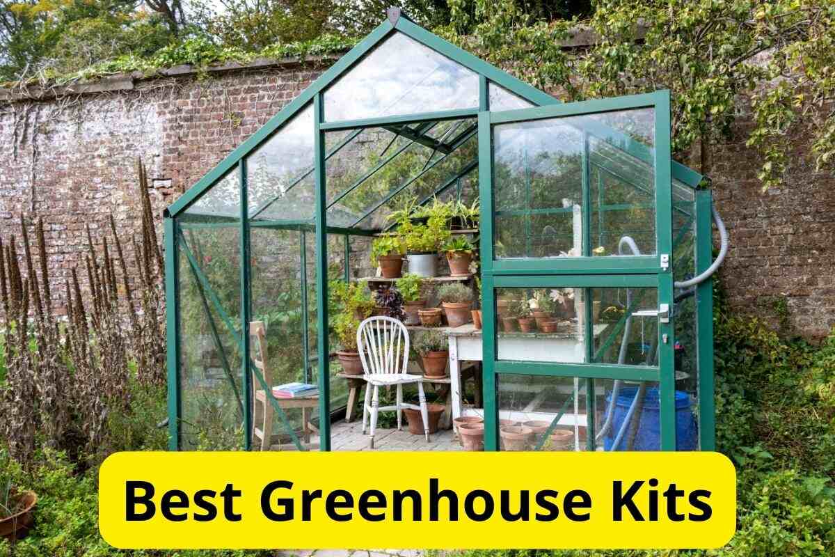 Affordable Greenhouse Solutions: Exploring Budget-Friendly Options for Greener Gardening
