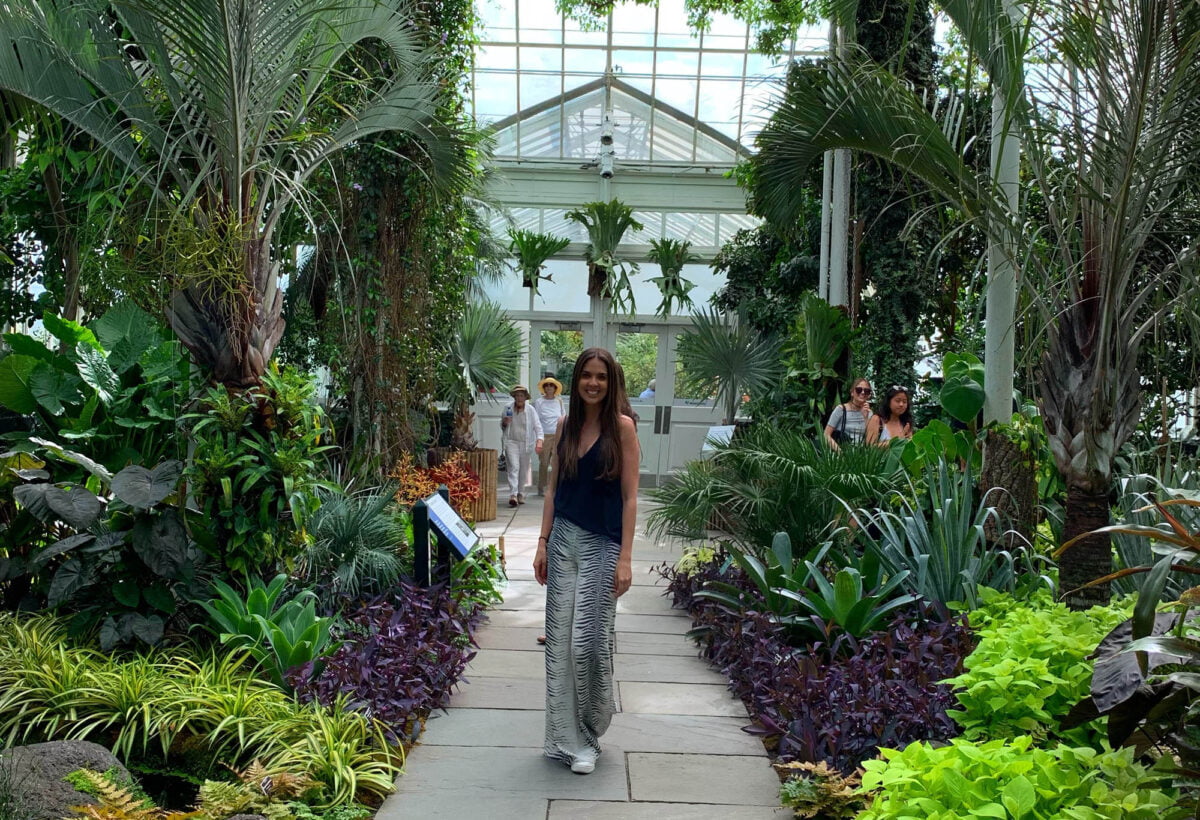 Exploring the Botanical Gardens: A Guide to Free Admission