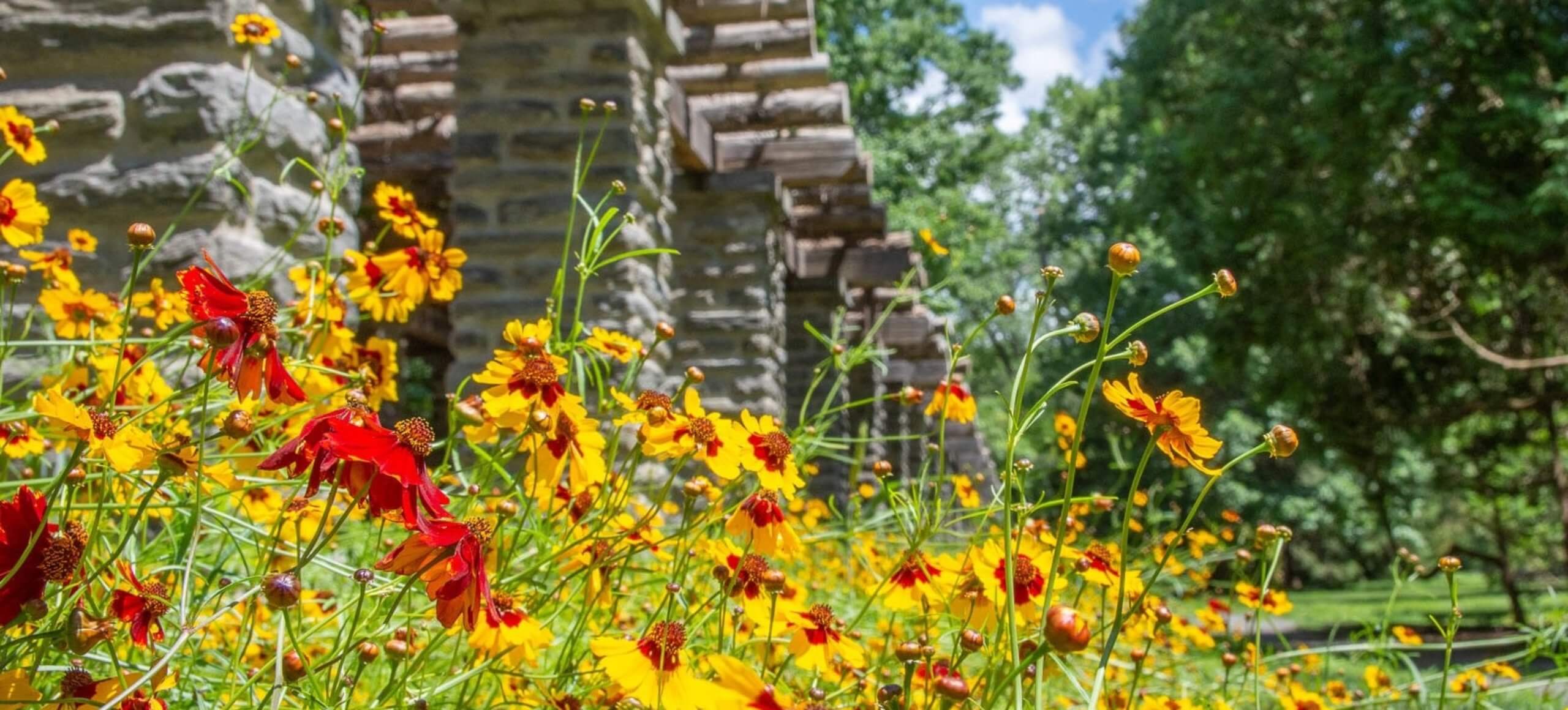 Creating a Beautiful and Sustainable Natural Garden: A Guide to Creating a Thriving Outdoor Sanctuary