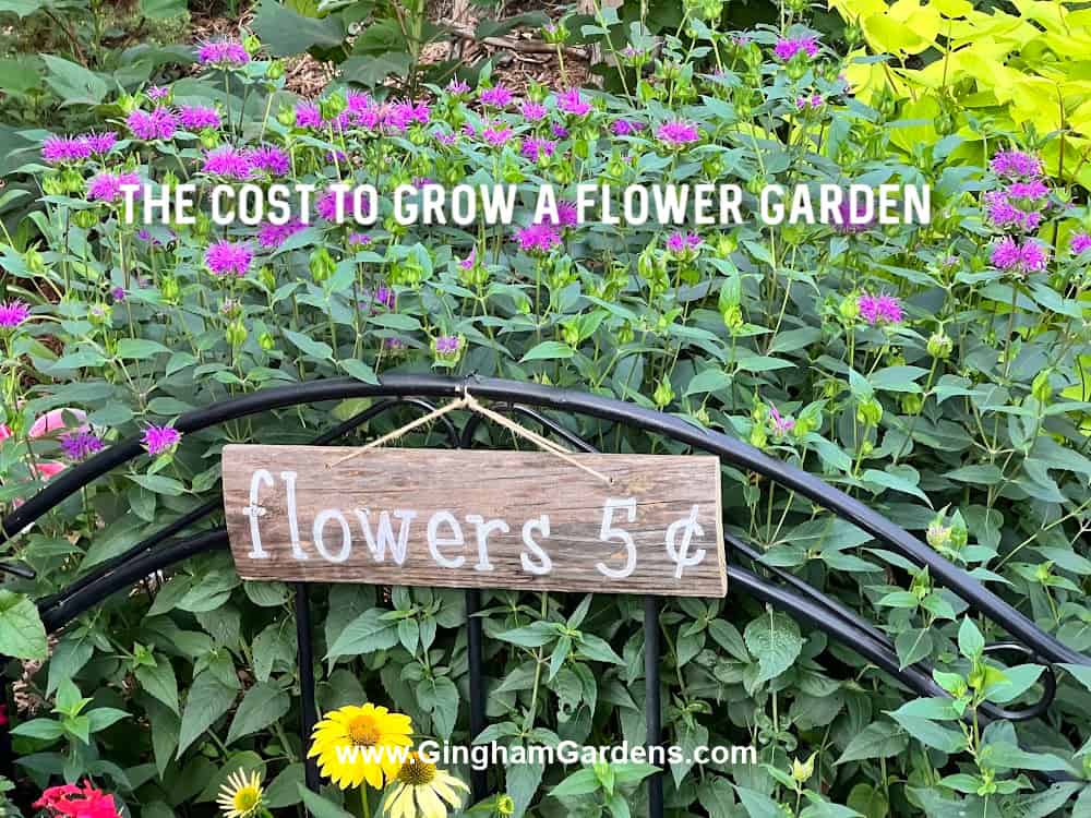 How to Determine the Cost of Garden Flowers
