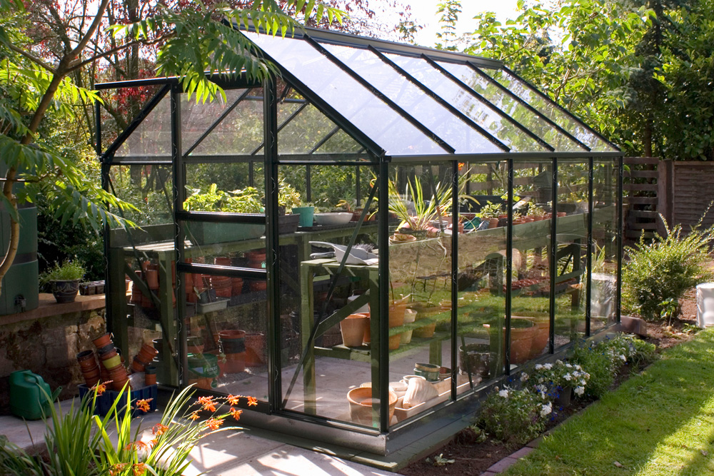 The Benefits of a Backyard Greenhouse: Cultivating a Sustainable and Lush Oasis