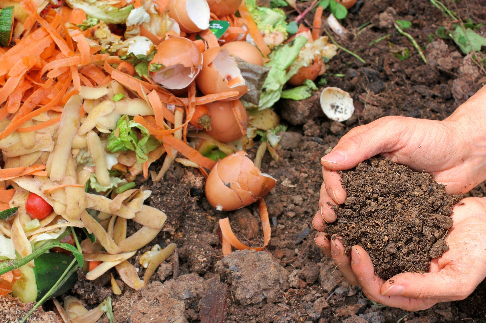 Creating a Productive Compost Pile: Tips for a Successful Ground Setup