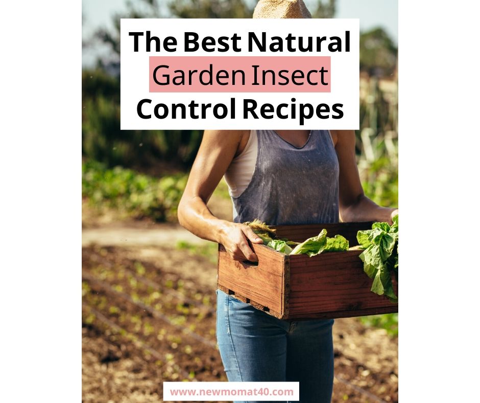 The Complete Guide to Natural Garden Pest Control: Effective Methods to Safeguard Your Garden