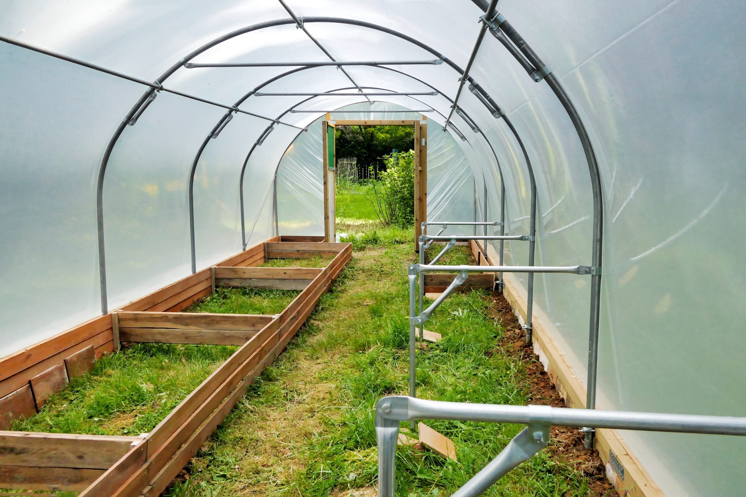 Inexpensive Plastic Greenhouse: The Affordable Solution for Budding Gardeners
