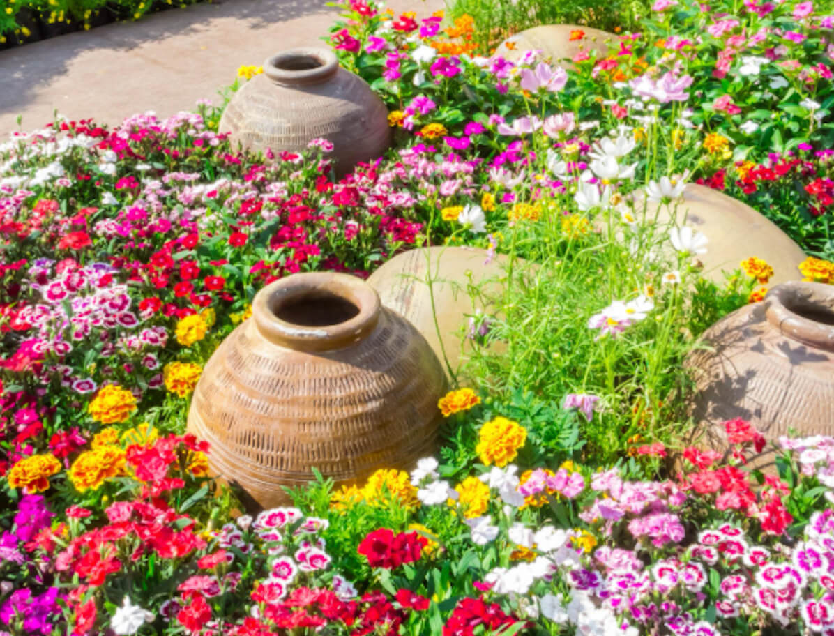 Captivating Floral Garden Ideas for a Vibrant Outdoor Oasis